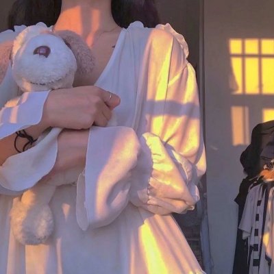 赛尔号大电影之寻找凤凰神兽